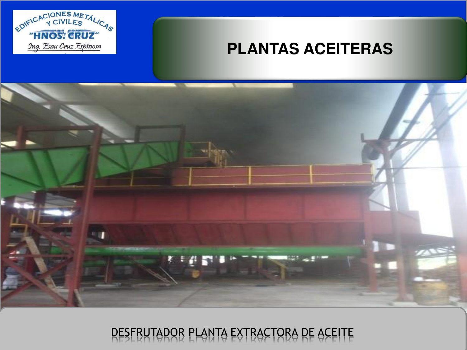Plantas aceiteras